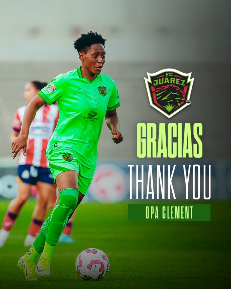 Inicio 10 Gracias_OPA_WEB