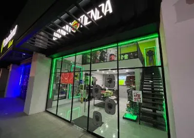 Puntos de venta 2 Bravo_Tienda_Alameda_Iglesias