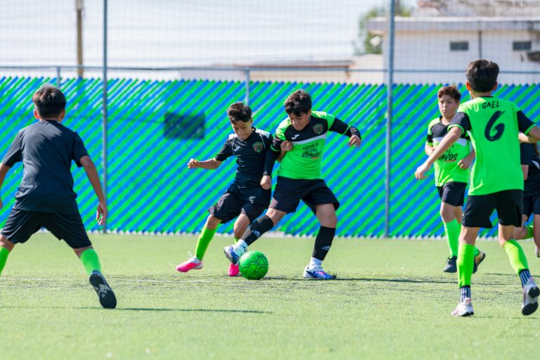 TORNEO FDLV-14
