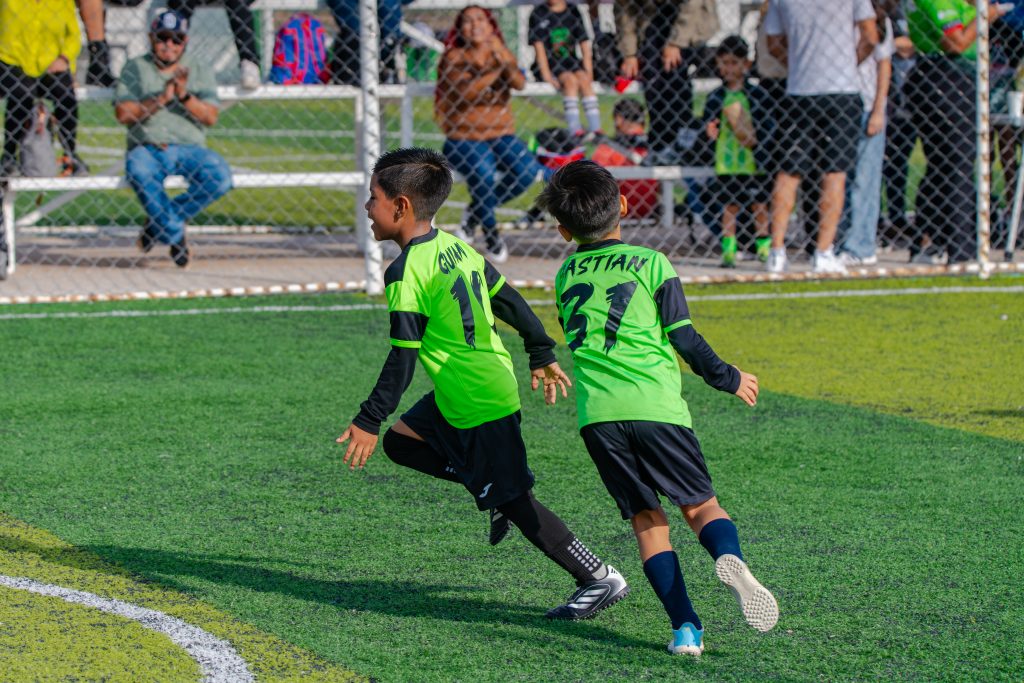 TORNEO FDLV 28