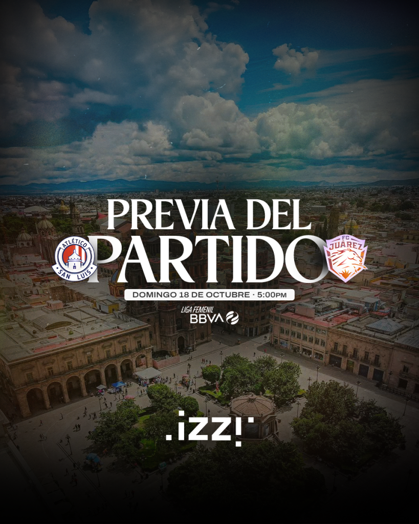 J11 PREVIA FEED